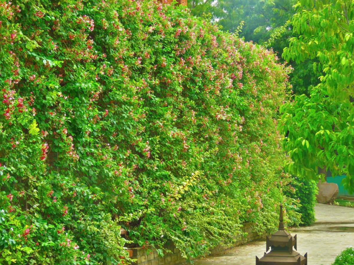 Heritage Bagan Hotel מראה חיצוני תמונה